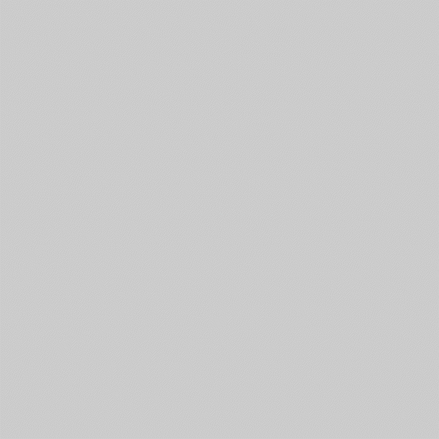 Adidas Logo