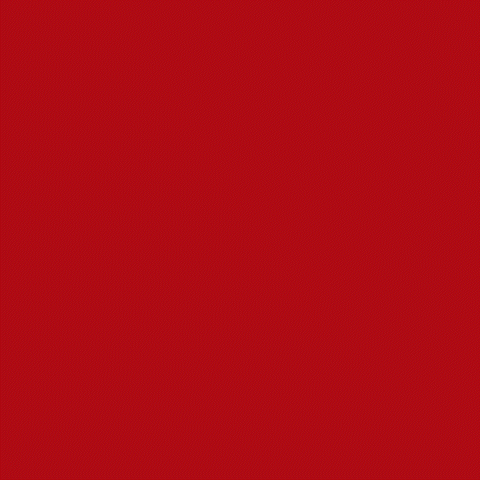 Fernando Seguros Logo